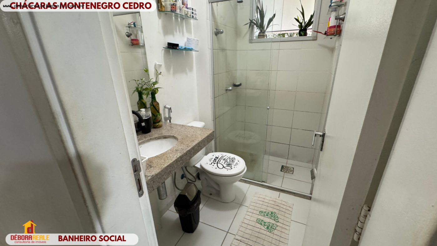 Apartamento para alugar com 3 quartos - Foto 3