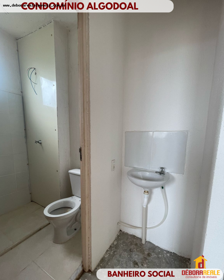Apartamento à venda com 2 quartos - Foto 5