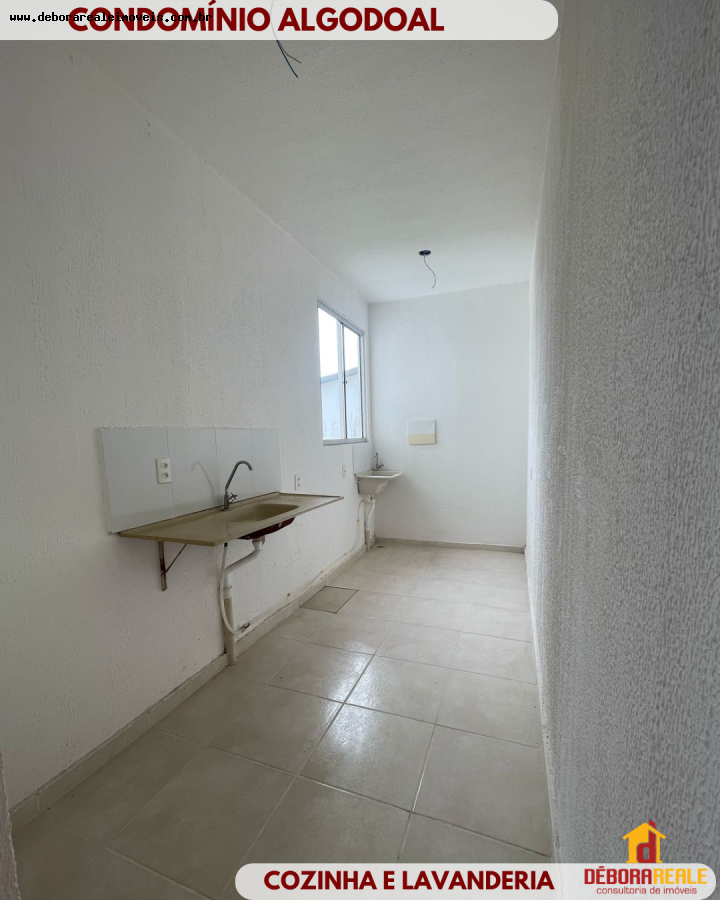 Apartamento à venda com 2 quartos - Foto 6