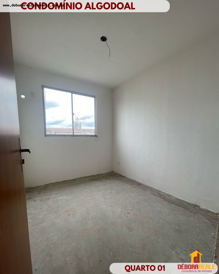 Apartamento à venda com 2 quartos - Foto 7