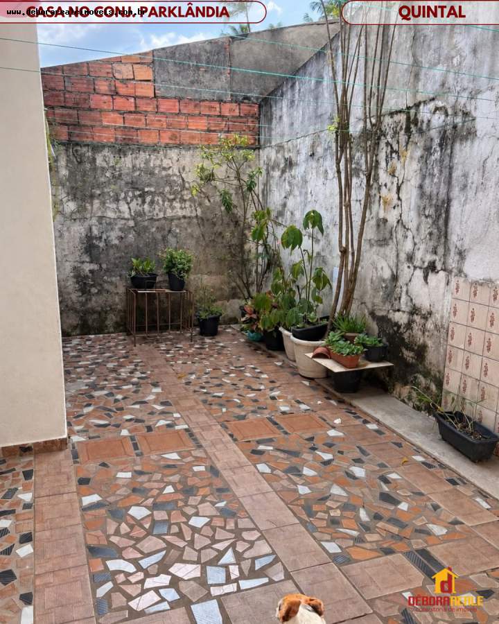 Casa, 3 quartos - Foto 7